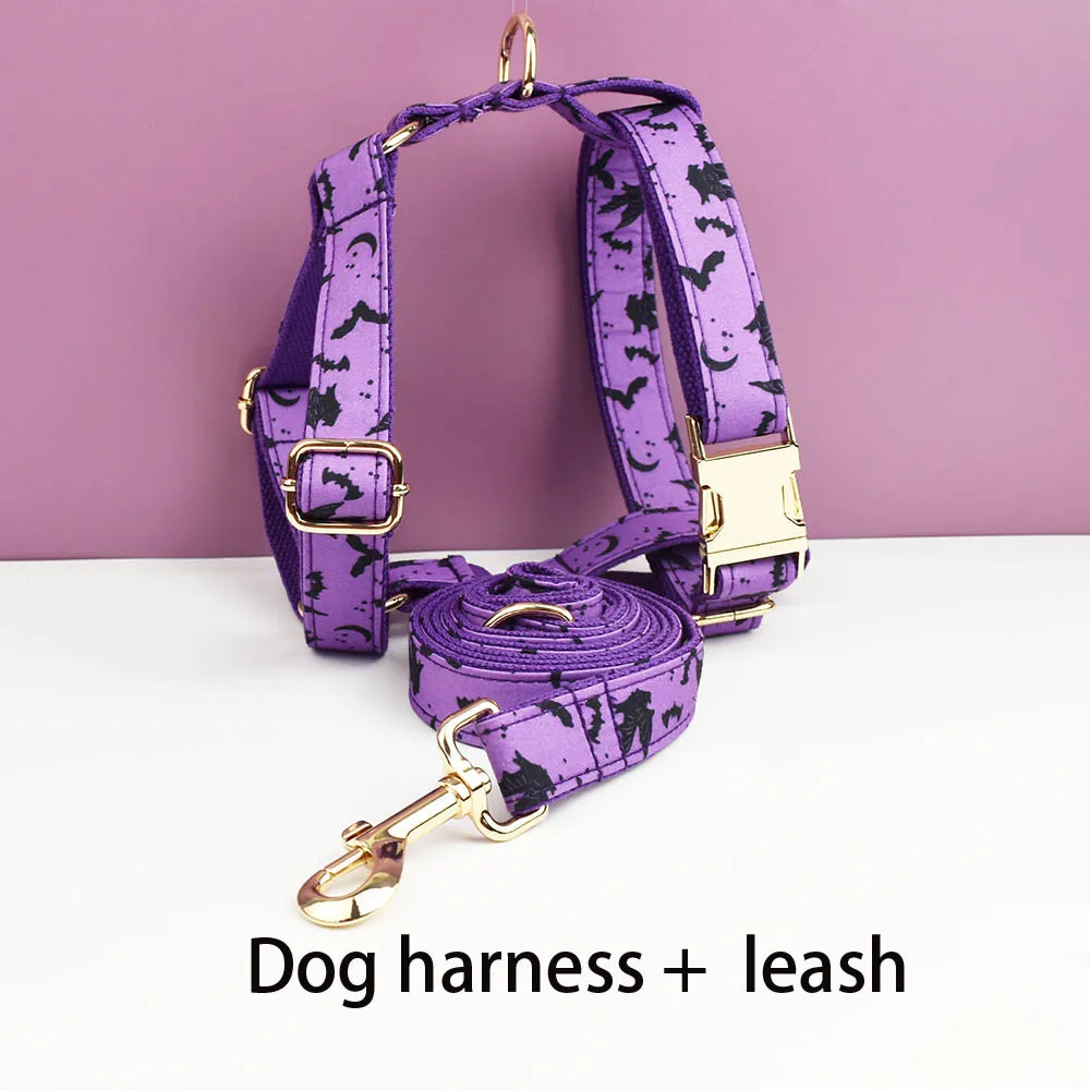 Harness leash