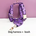 Harness leash