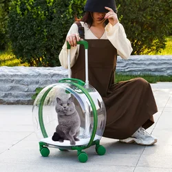 Maleta de transporte transparente con ruedas para gatos