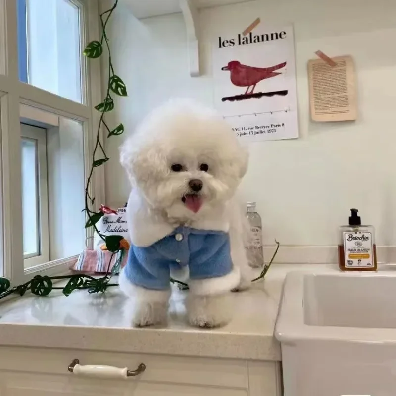 Abrigo de perro de felpa de Color sólido, ropa de perro, cuello de solapa, diseño de perros pequeños, ropa de cachorro dulce Kawaii, ropa cálida de invierno - imagen 3