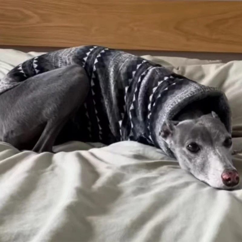 Chaleco para perro de cuello alto a rayas, color gris y negro, para galgo, sin mangas, ropa de alta elasticidad para Whipbit en otoño, primavera - imagen 3