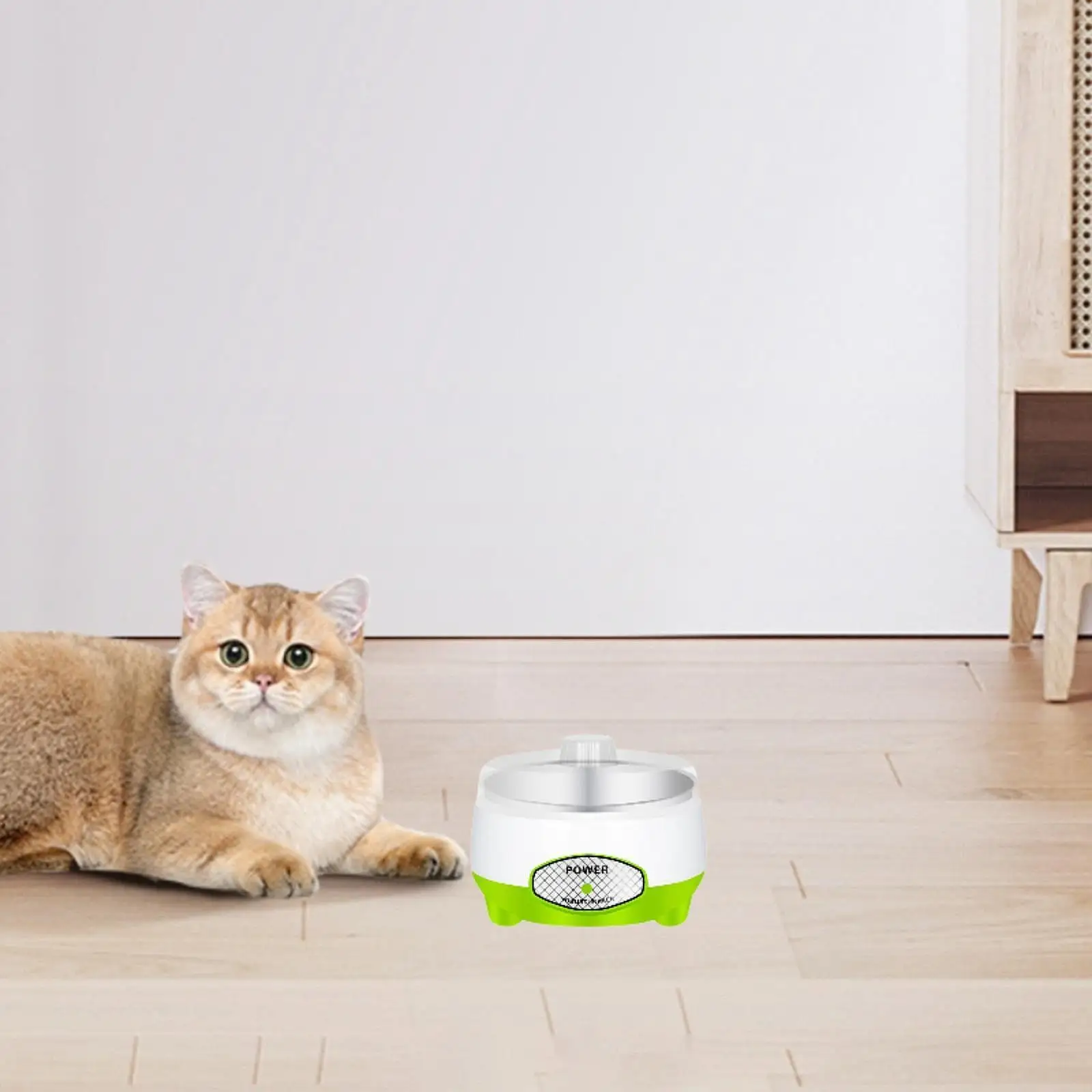 Heated Dog Pet Bowl 1000ml Mute Stainless Steel Insert for Cats Kitten Puppy