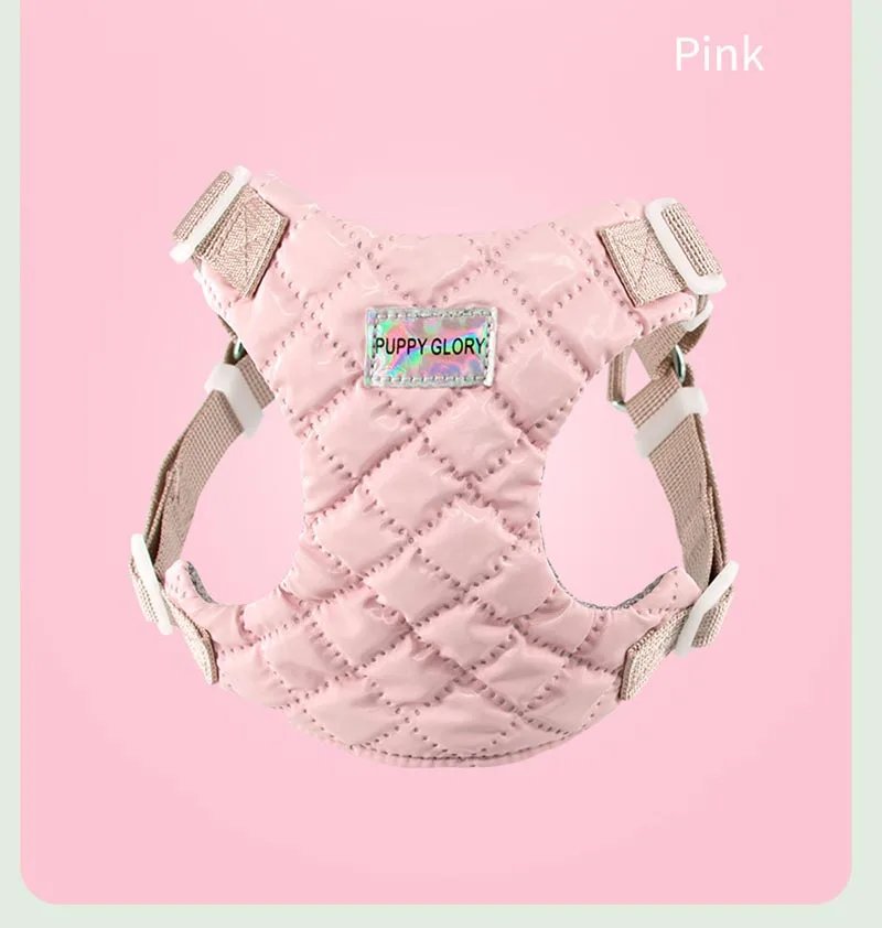 Comparación de tallas XS, S, M, L