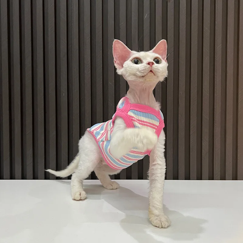 Ropa de gato sin pelo Sphinx de primavera para gatos, chaleco a rayas sin mangas, camisa para cachorros y gatitos, Camiseta de algodón, pijamas bonitos, ropa para mascotas - imagen 4