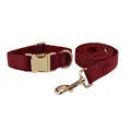 Dog Collar Leash Set