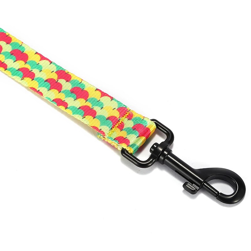 PLATTCO lindo fruta APPLE PARTY correa para perro imitación nailon impreso perros cachorro correa para mascota pequeña mediana grande pitbull PDL326 - imagen 5