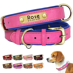 Collar para perros de cuero con grabado gratis - suave y cómodo