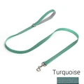 turquoise leash