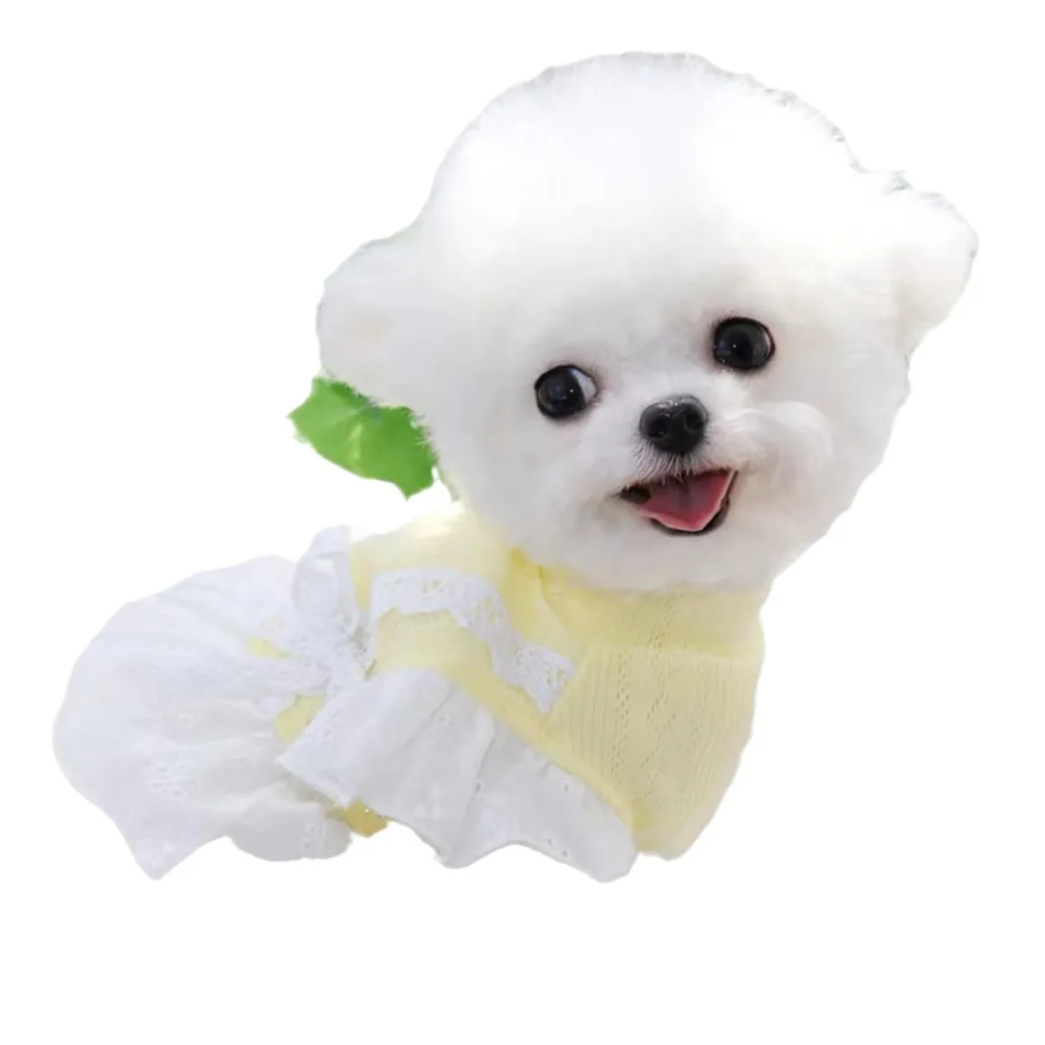 Vestido de primavera/verano para mascotas, chaleco con mangas de encaje, vestido de princesa con oso de peluche para perros pequeños, chaleco para cachorros, ropa para perros pequeños - imagen 5