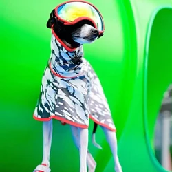 Chaqueta impermeable para Whippet, galgo italiano y terrier