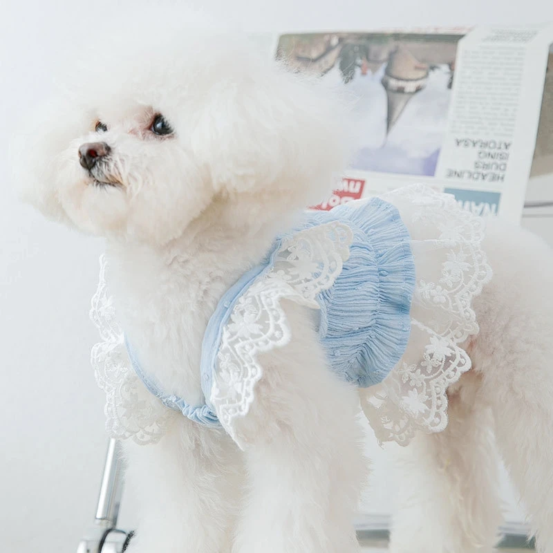 Lindo vestido de encaje para perros pequeños, Chihuahua, chaleco para cachorros, falda para mascotas, accesorios para Bulldog Francés, ropa para gatos - imagen 5