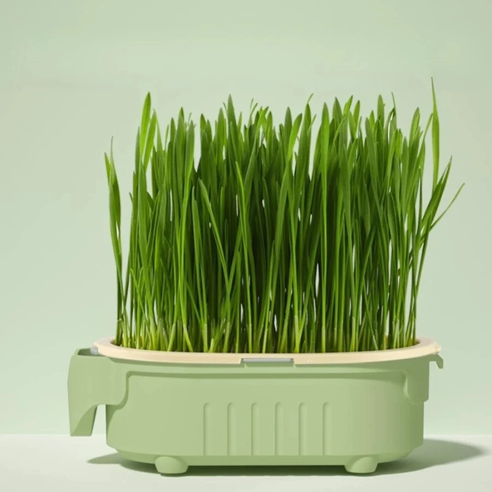 Suministros para mascotas, taza de cultivo hidropónico sin suelo de buena calidad, taza de plantación perezosa, productos para el cuidado del gato de cultivo hidropónico - imagen 4