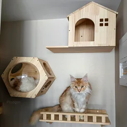 Estantes de escalada para gatos montados en la pared, hamaca para gatos con escalera y poste rascador, plataforma para saltar para gatitos, jugar y perca