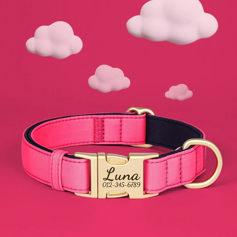 Collar personalizado para perro con placa identificativa
