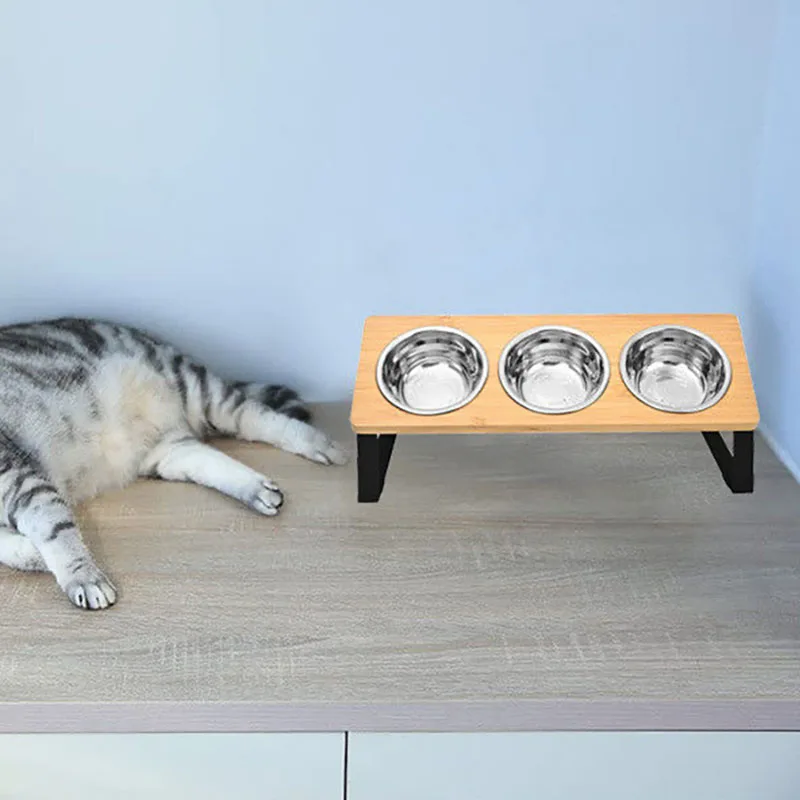 Cuencos elevados para gatos con 3 cuencos de acero inoxidable |   10 °   Cuencos de comida para gatos elevados antivómitos inclinados para gatos pequeños y cachorros de mascotas