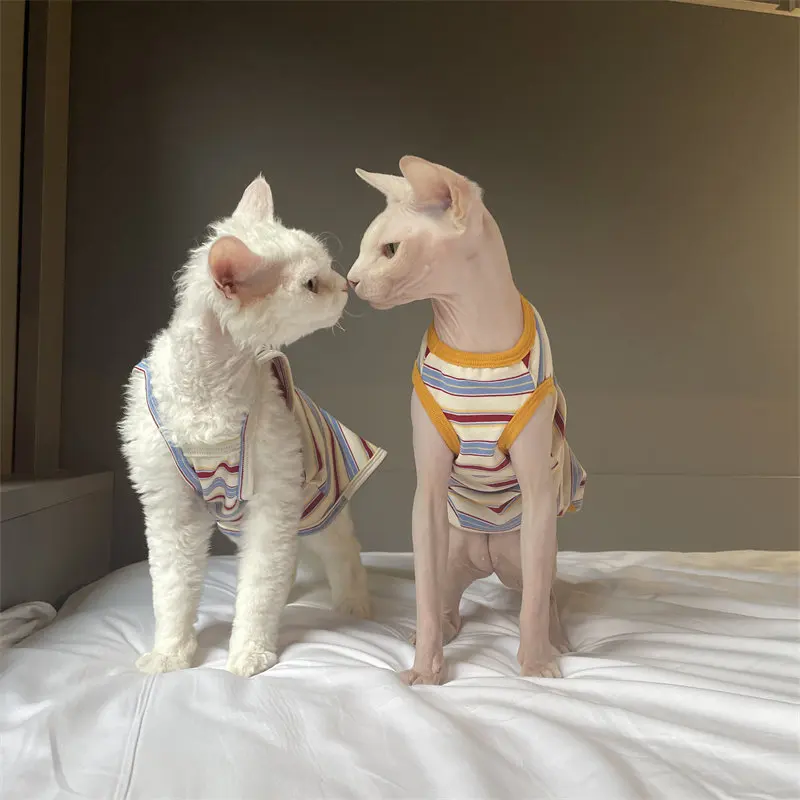 Camiseta ligera de verano para gatos sin pelo – Devon Rex y Sphynx - imagen 5