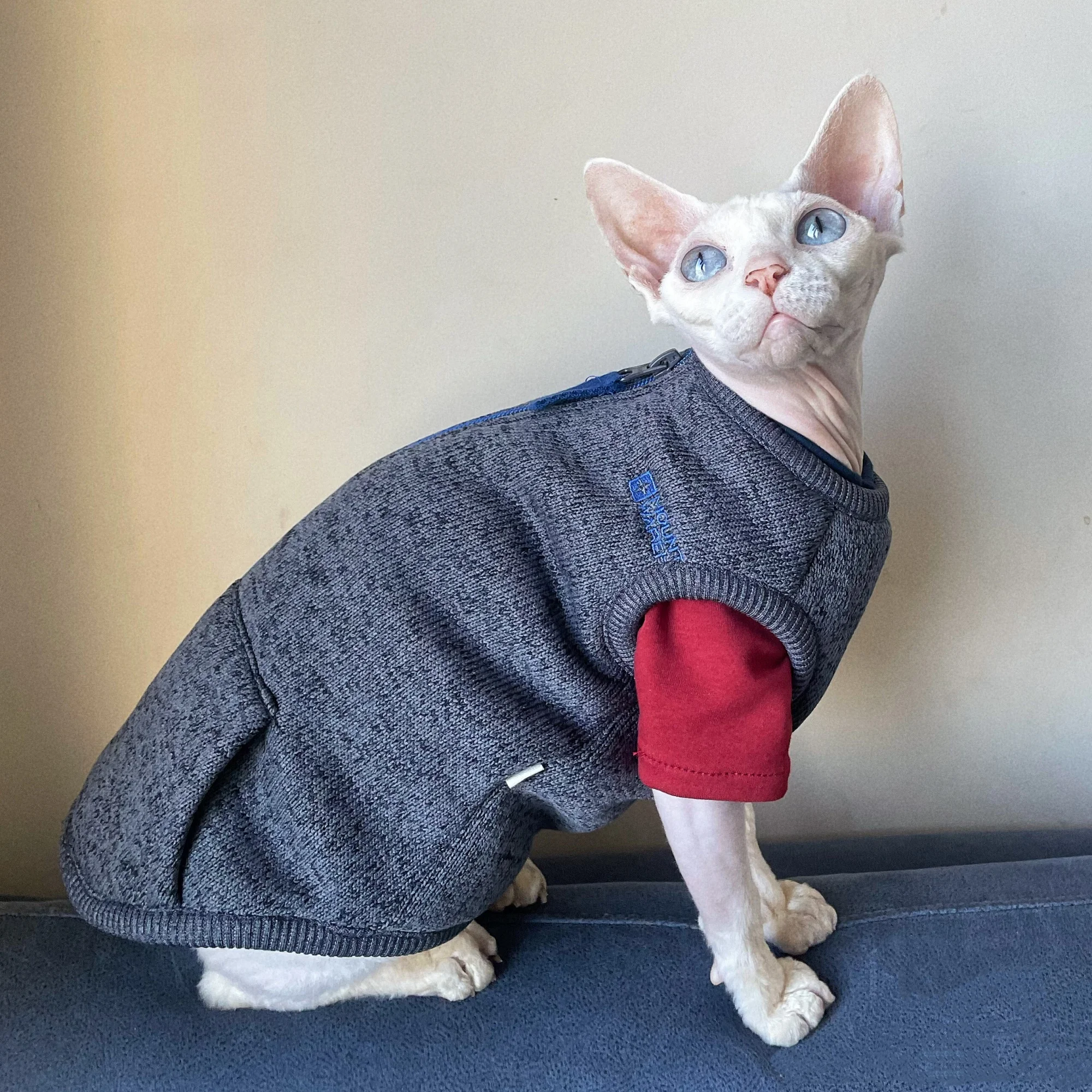 Winter Coat for Sphynx Cat Thick Blue Fleece Zip-up Jacket for Cats Warm Grey Vest for Devon Rex Fashion Costumes for Male Cat - imagen 3