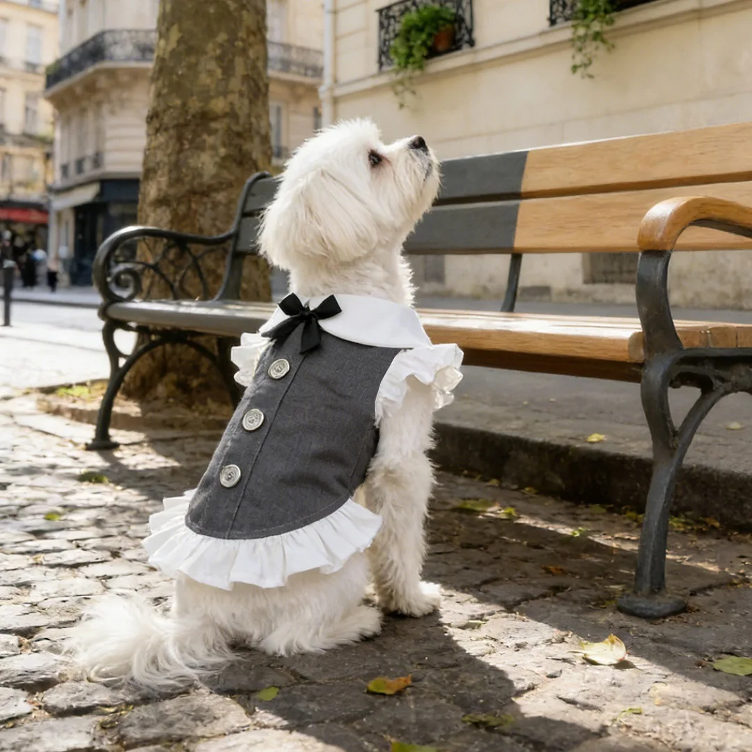 Chaleco falda para perro pequeño con ajuste rápido - imagen 3