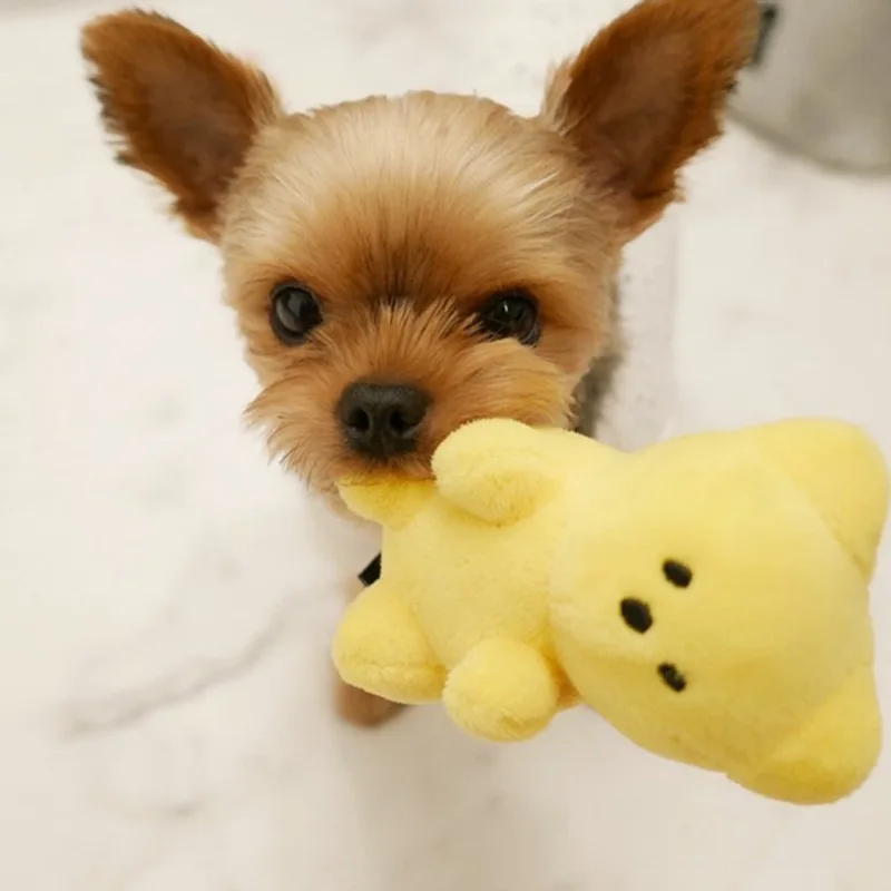 Lindo perro pequeño juguetes chirriantes para perros pequeños cachorro oso en forma de juguete chirriante para perros gatos suministros para mascotas peluche Pomerania Shih Tzu Pug