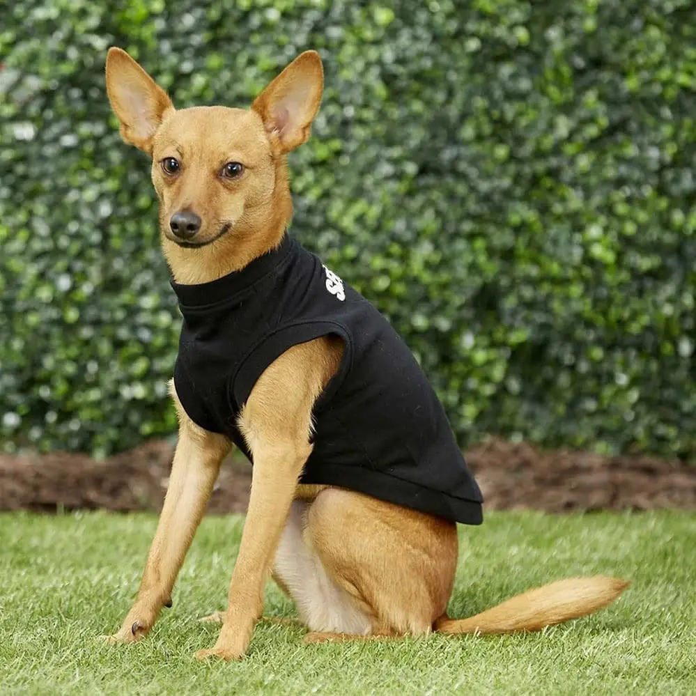 Camisa de seguridad para perros, disfraz de guardia para cachorros, Camiseta de algodón, ropa de verano para perros grandes, medianos y pequeños, pastor alemán - imagen 5