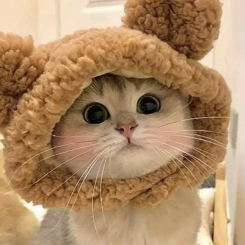Gorro cálido y bonito para gato, gorro de oso de peluche corto y suave y cómodo para gato, cachorro, perro, disfraz de Cosplay, accesorios para mascotas, rosa, blanco y marrón - imagen 4