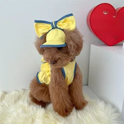 Ropa de verano para mascotas: perros y gatos