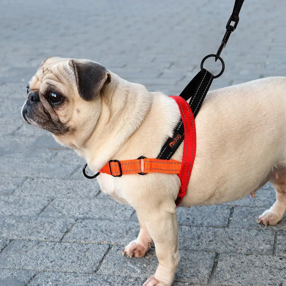 Nueva moda, arnés de nailon para perros, arneses reflectantes para perros, sin tirones, Pug para mascotas, Pitbull, chaleco para caminar ajustable para perros pequeños y grandes, Pug - imagen 5
