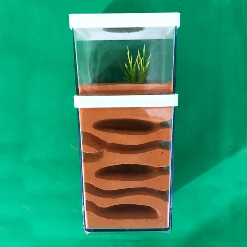 Granja de hormigas de yeso de alta humedad, Castillo de insectos para Hotel, nido de hormigas ecológico, taller de hormiguero para mascotas, casa de hormigas, pueblo con área de alimentación - imagen 2