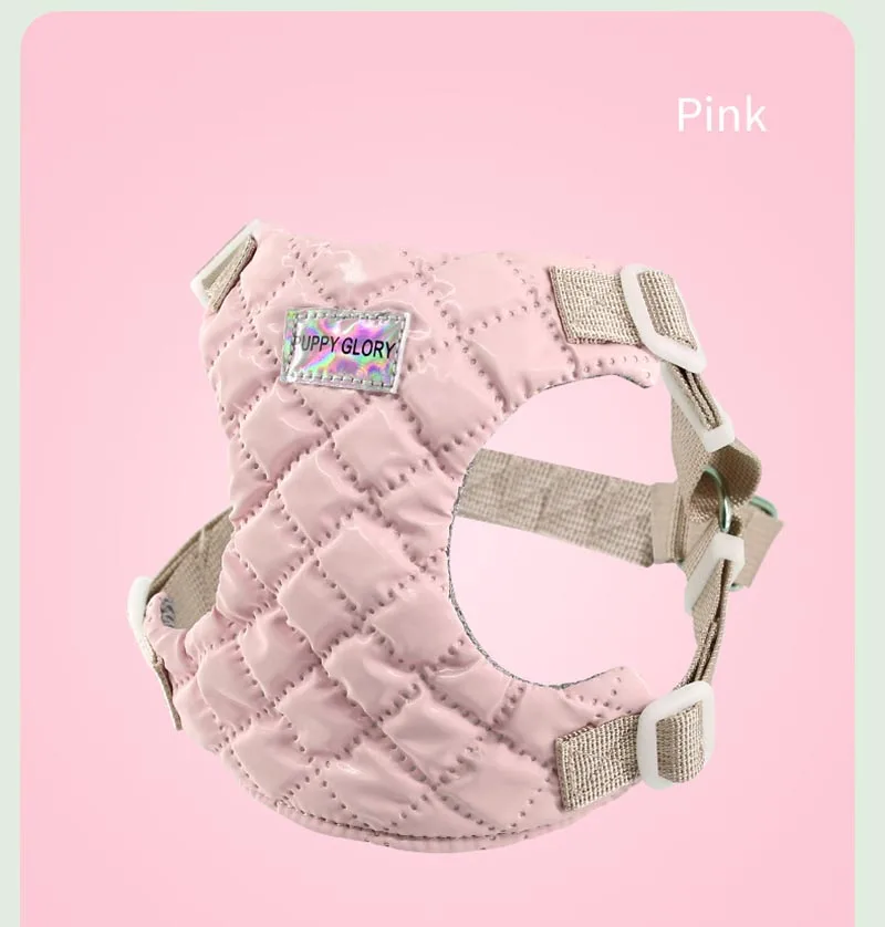 Gatito usando el chaleco ajustable