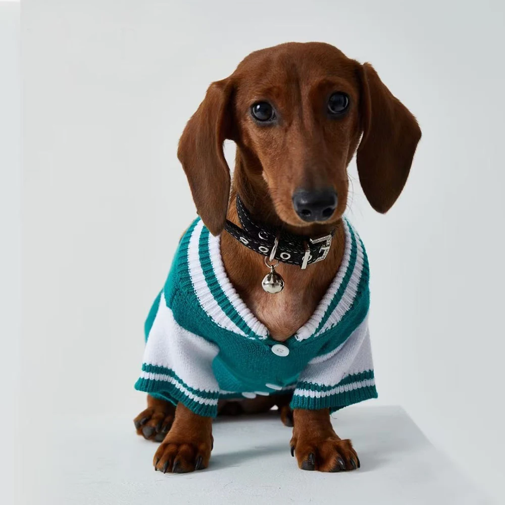 Suéter de punto de moda para perros Wiener, chaqueta cárdigan de invierno para perros tejón, mangas largas cálidas para perros salchicha en otoño - imagen 4
