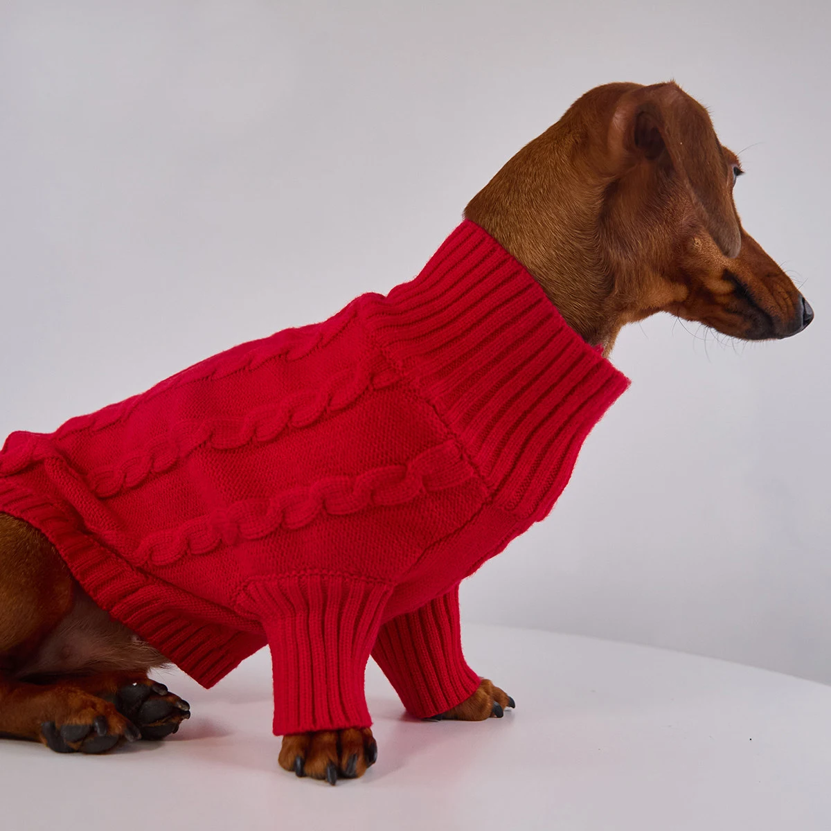 Suéter rojo para perros salchicha; abrigo cálido tejido a mano - imagen 3