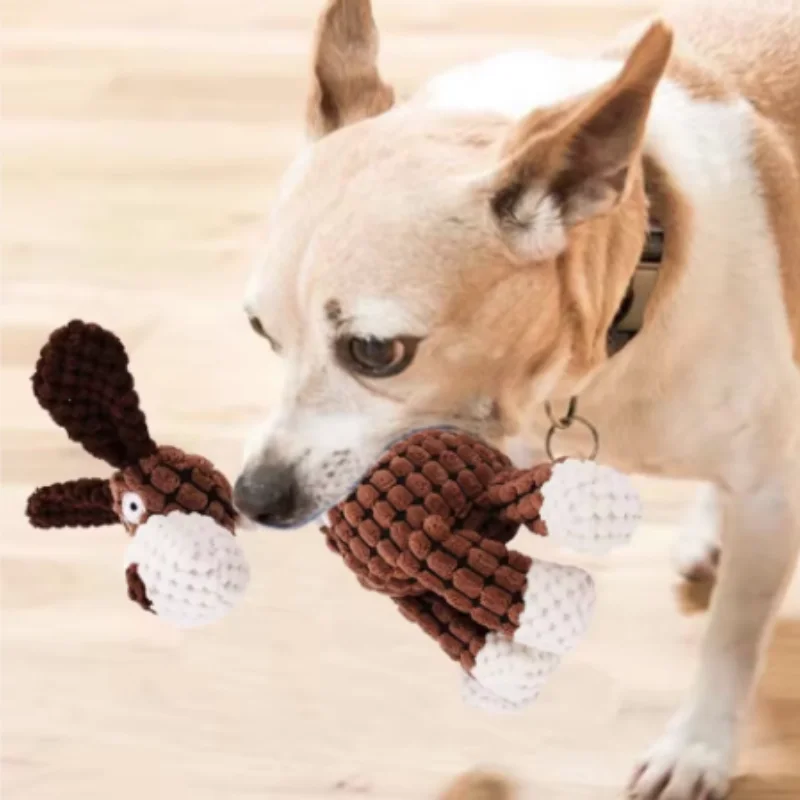 Juguete sonoro con cuerda para perros y gatos – Adiestramiento - imagen 5