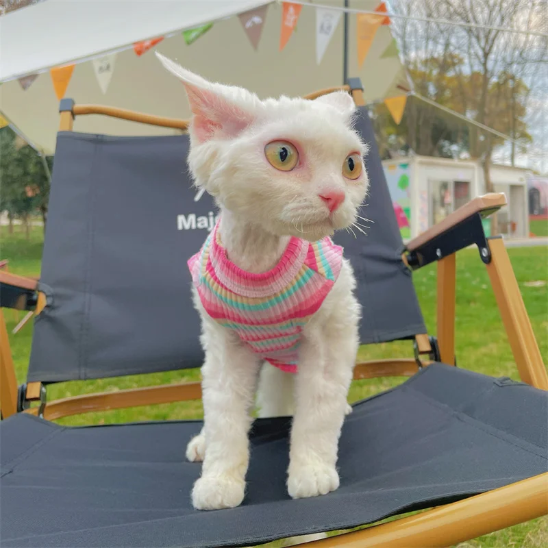 Ropa para gato hembra Camiseta arcoíris para gato sin pelo Verano Chaleco de algodón rosa para Sphinx Cat Devon Ropa de estar por casa rizada en primavera Mono fresco para cachorros en clima cálido - imagen 4