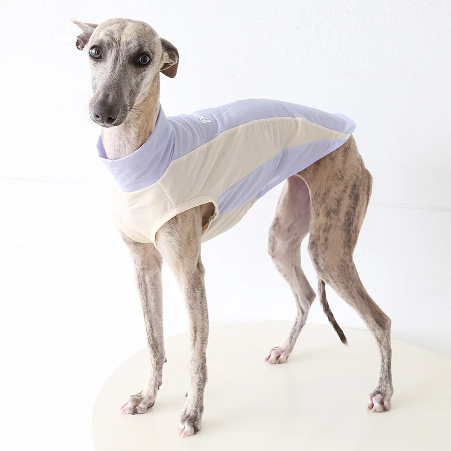 Chaleco ligero con protección solar para galgo italiano - imagen 4
