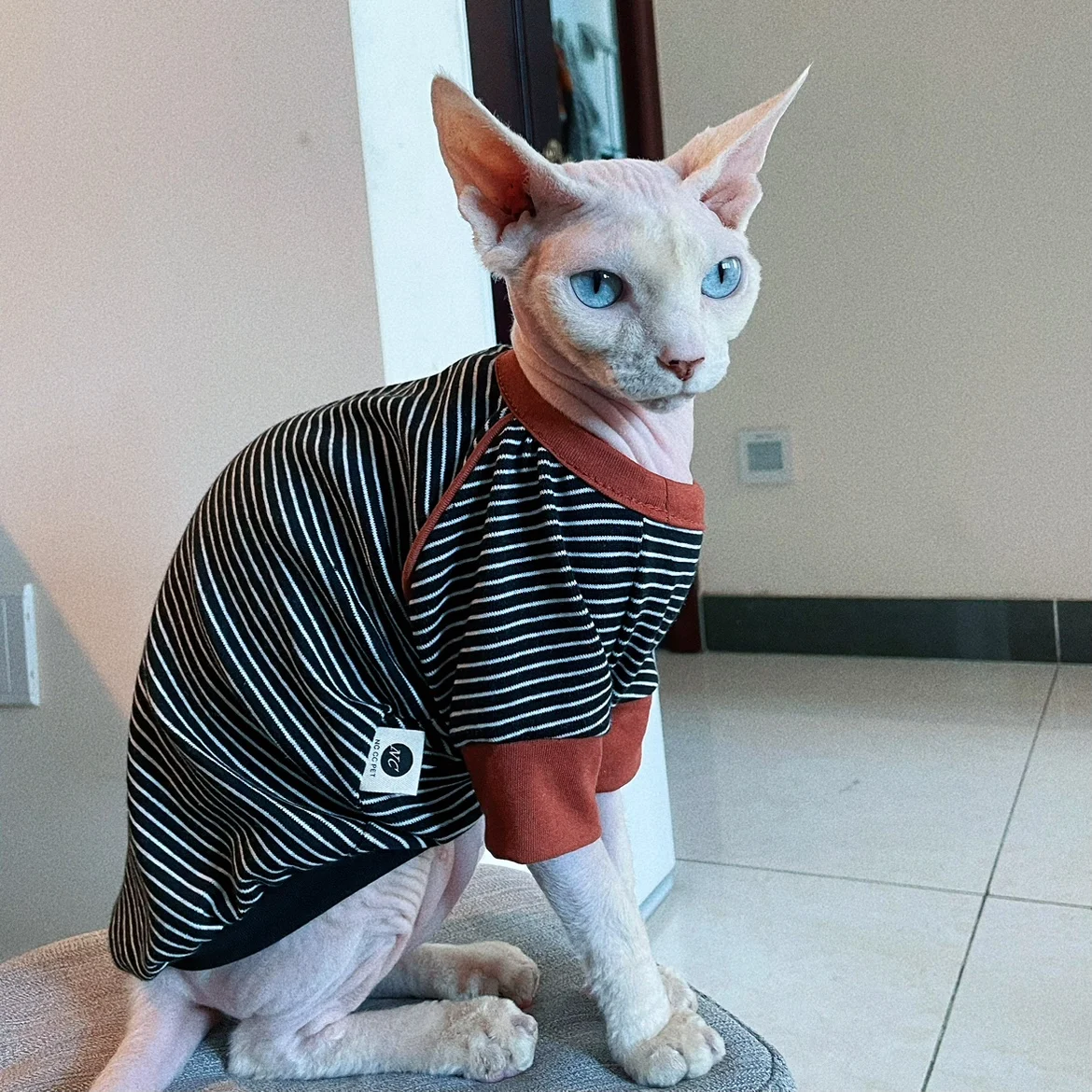 Camiseta de algodón de manga larga a rayas amarillas para gato esfinge en gatitos de otoño mono suave de primavera abrigo sudadera azul Devon Rex
