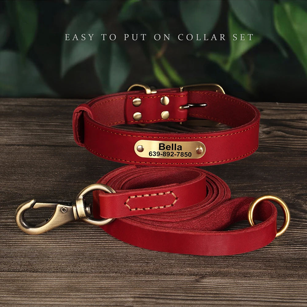 Collar de perro de cuero auténtico, conjunto de correa, Collar personalizado para mascotas con correa, placa con grabado gratis para perros pequeños, medianos y grandes