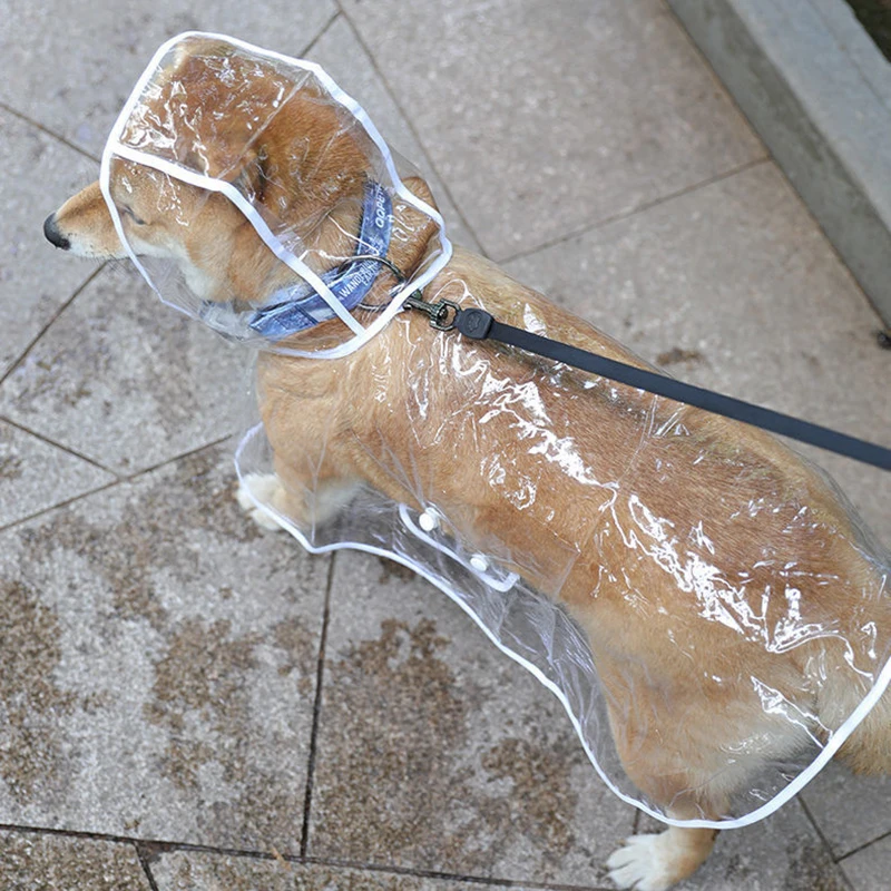 Chubasquero para perros, impermeable, transparente, ropa de exterior para mascotas, para perros pequeños y medianos, Bulldog Francés, cachorro, gato, macotas - imagen 3