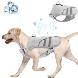 Chaleco refrescante para perros medianos y grandes – Bulldog Francés