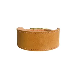 Collar cuero extra ancho para galgo Saluki y razas de cuello largo