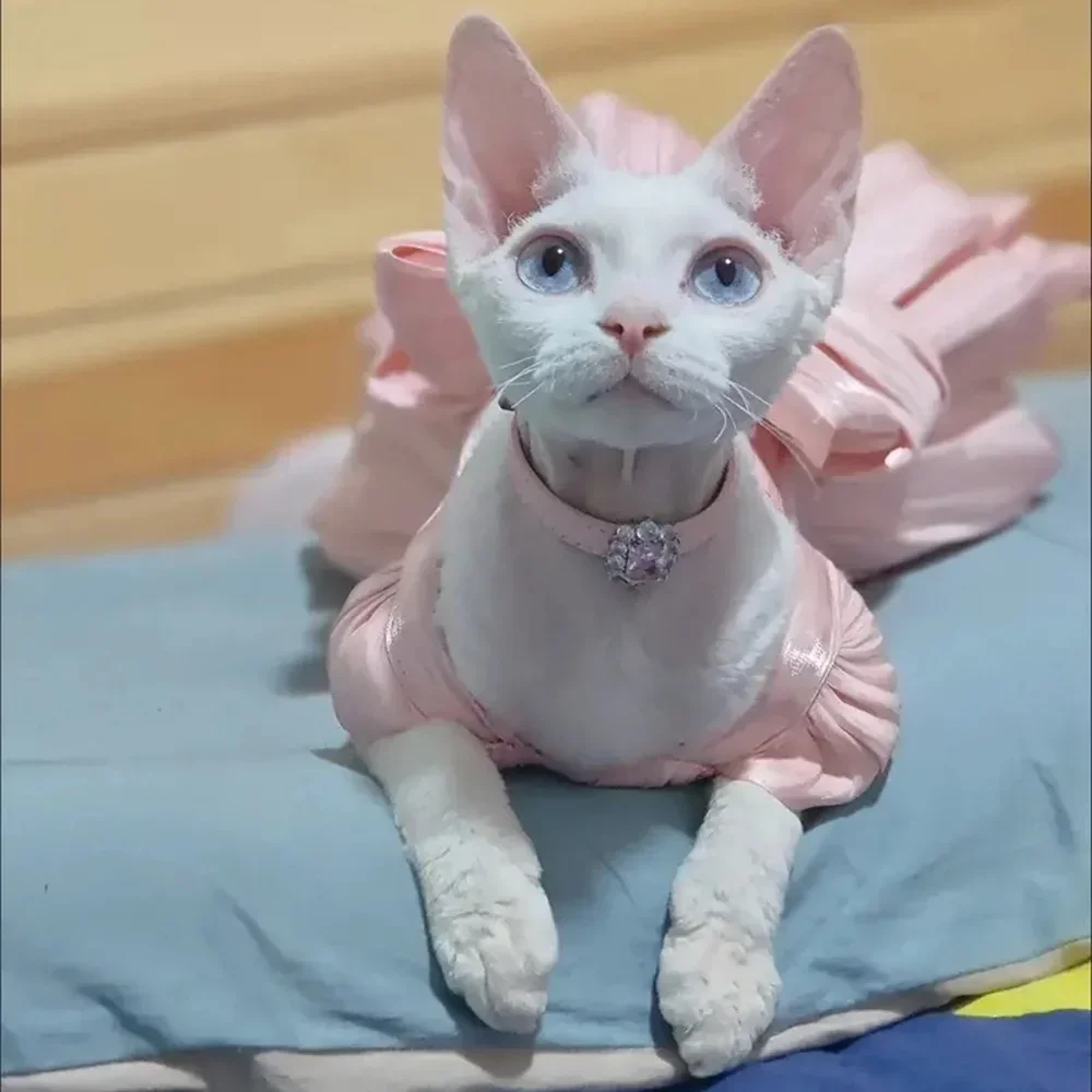 Sphynx vestido completo con lazo para gato, ropa de boda para mascotas, falda para gatitos, disfraz para mascotas - imagen 3