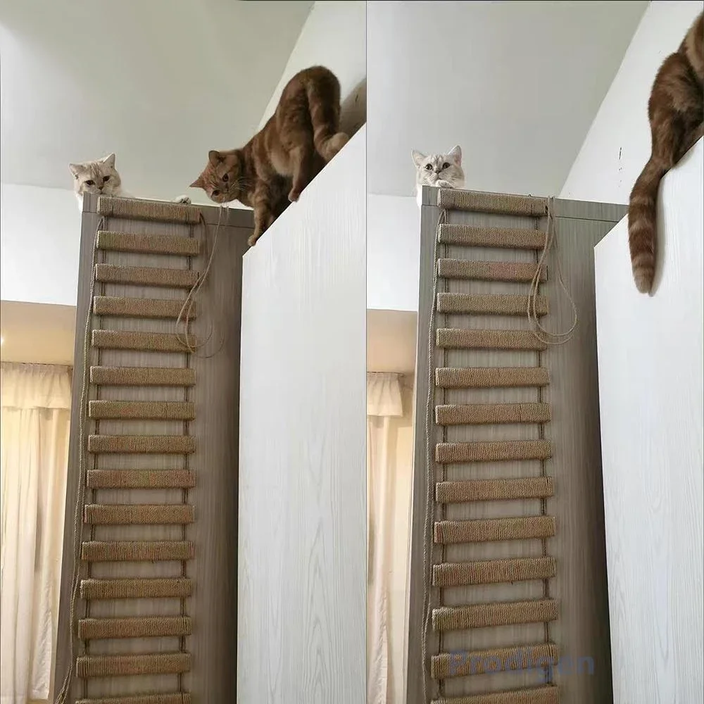 Escalera con puente para gatos – Rampa de sisal y madera natural - imagen 5