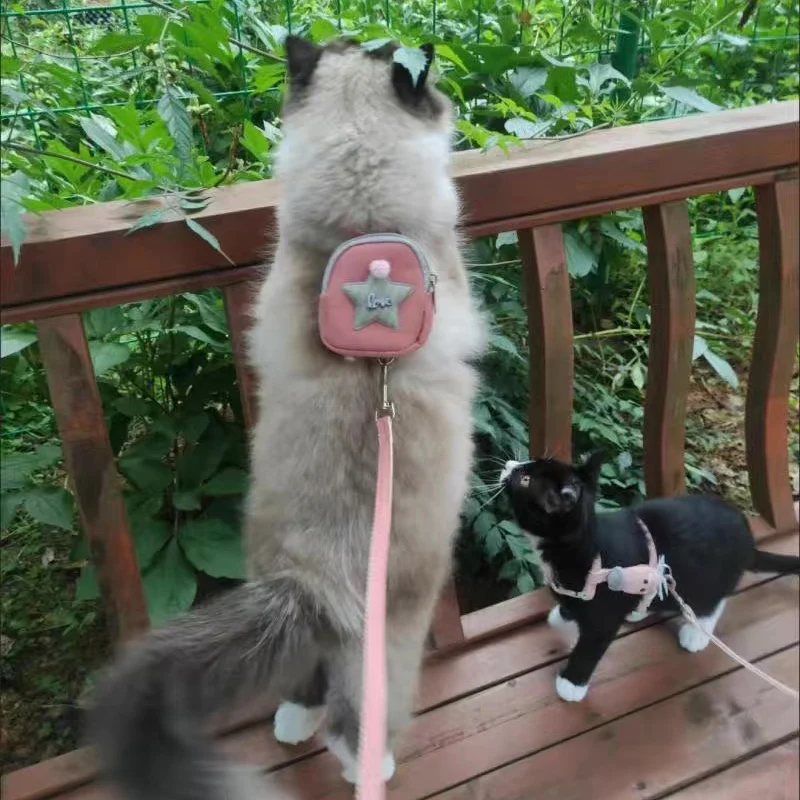 Juego de arnés y correa para gatos y perros pequeños, con estampado de dibujos animados, con mochila, accesorios de cuerdas para gatitos - imagen 5