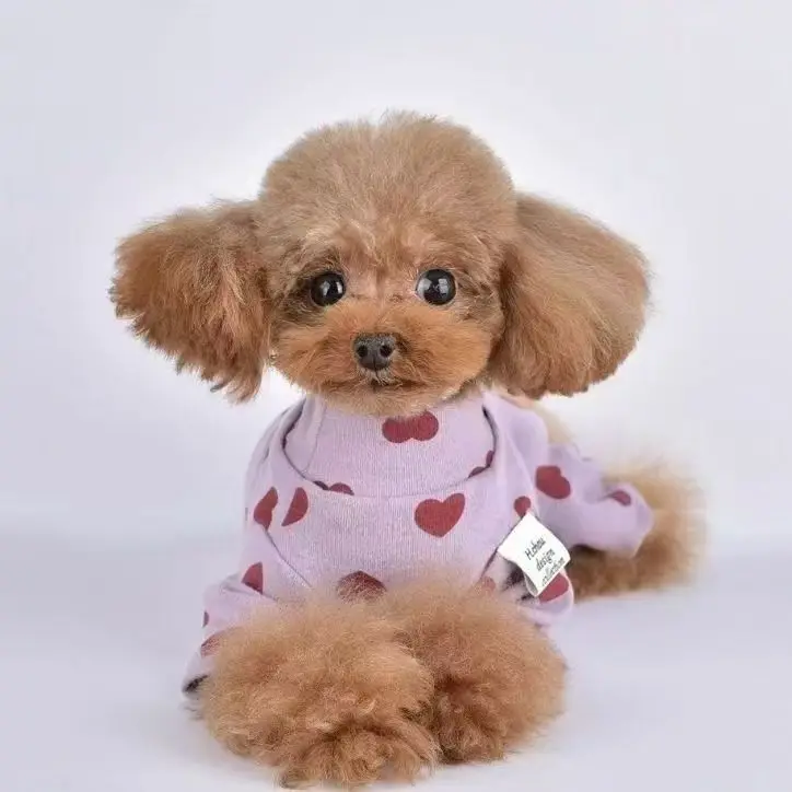 Mono de cuello alto para gatos y perros cálido en primavera-otoño - imagen 2