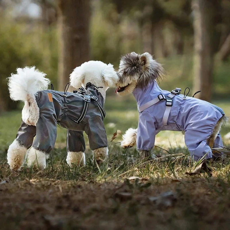 Accesorios para mascotas, accesorios para perros y mascotas, ropa para perros grandes, vestido, abrigo grande, artículos para cachorros, sudadera pequeña, suministros, disfraz de lujo - imagen 3