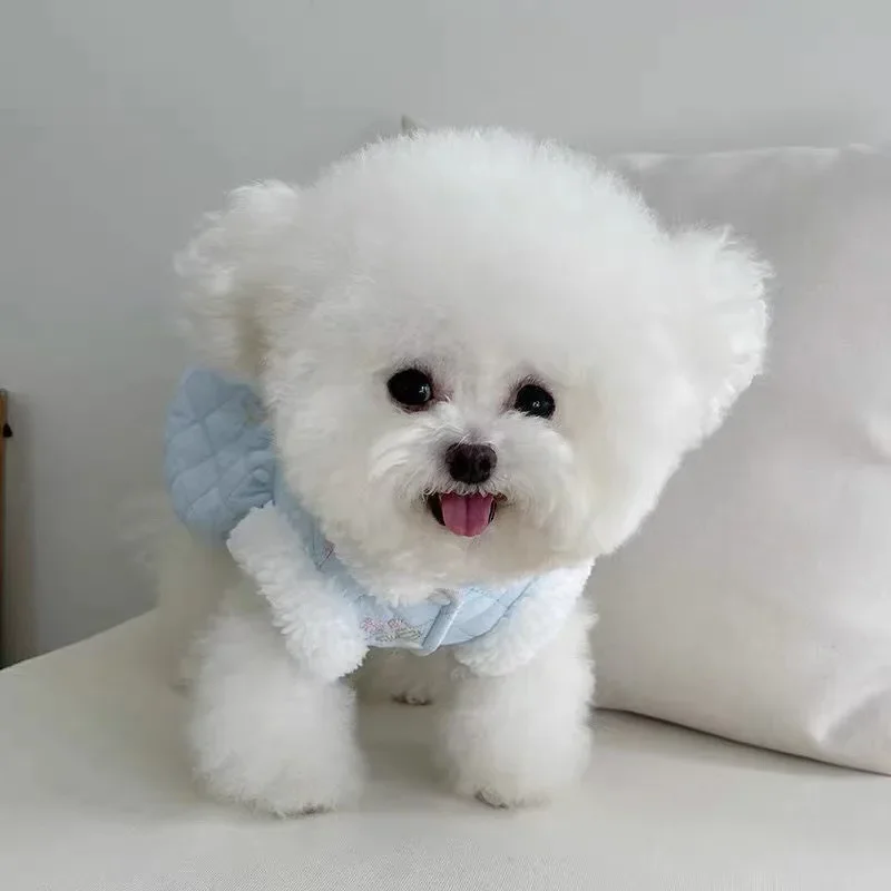 Falda de calabaza de burbuja de diamante para mascotas, chaleco de hebilla de tracción con Clip de felpa y algodón, oso de peluche, perro y gato, grueso, Otoño e Invierno - imagen 3