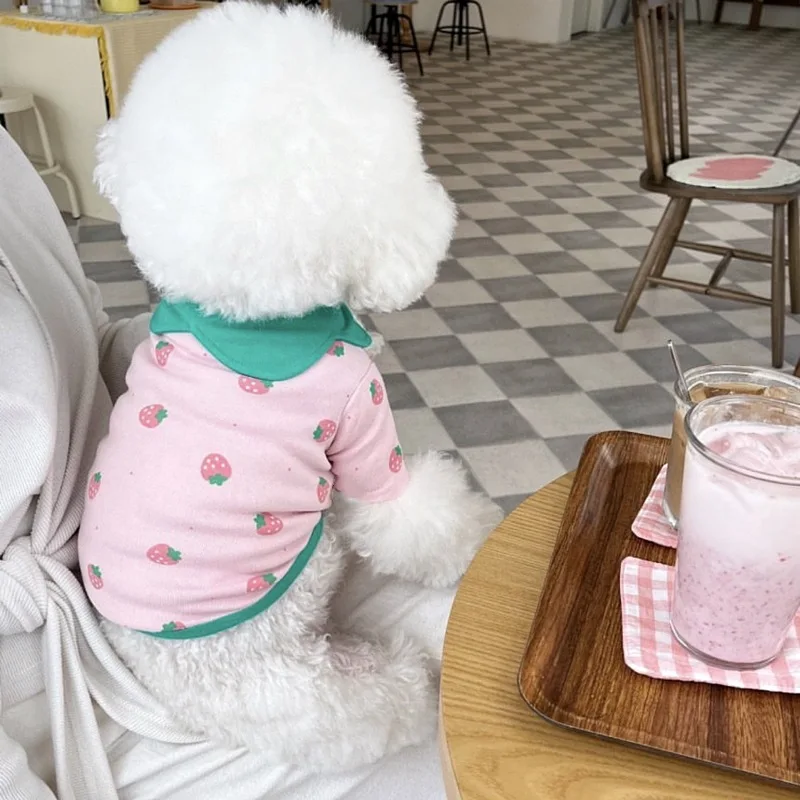 Camiseta fina de verano con cuello abatible para mascotas, camiseta de fresa, osos de peluche, ropa para cachorros y perros, Yorkshire, cachorro pequeño, Schnauzer, ropa para cachorros y gatos - imagen 4