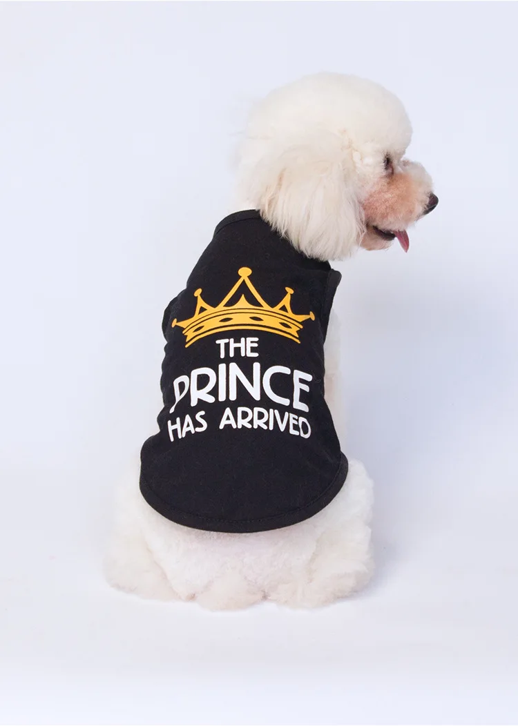 Ropa shih tzu - Uso en shih tzu