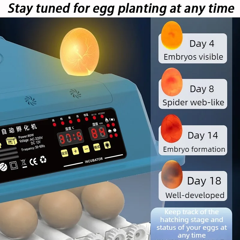 Incubadora automática de huevos para gallina, pato y ganso - imagen 4