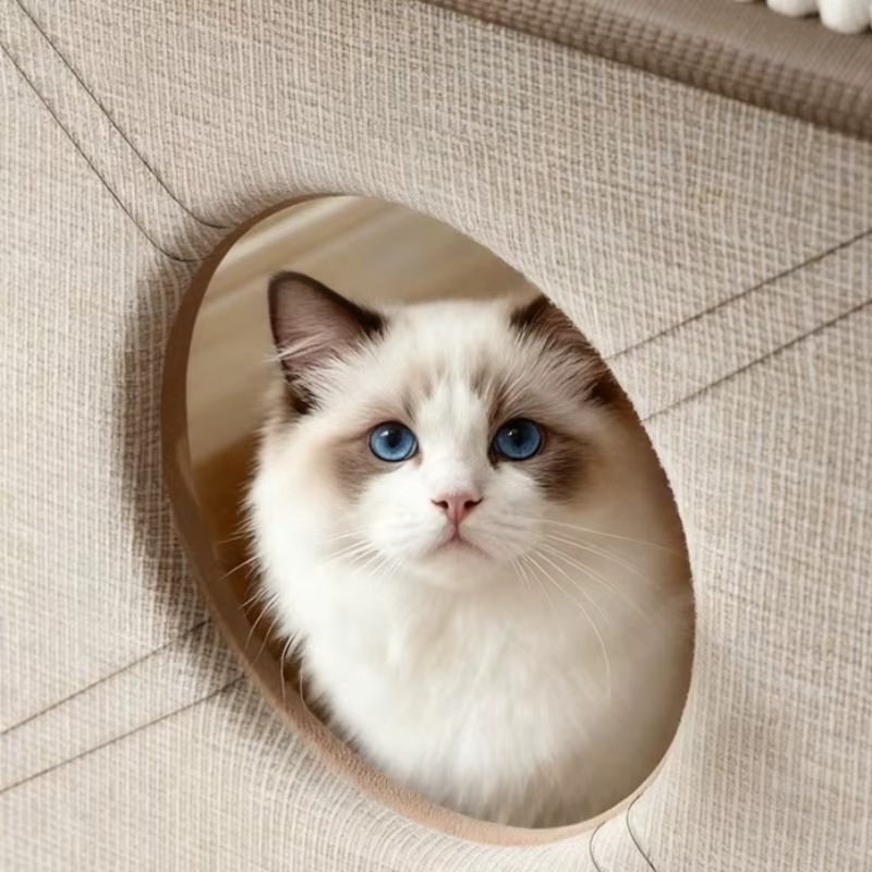 Cama estilo casa lavable para perros y gatos pequeños – Invierno - imagen 5