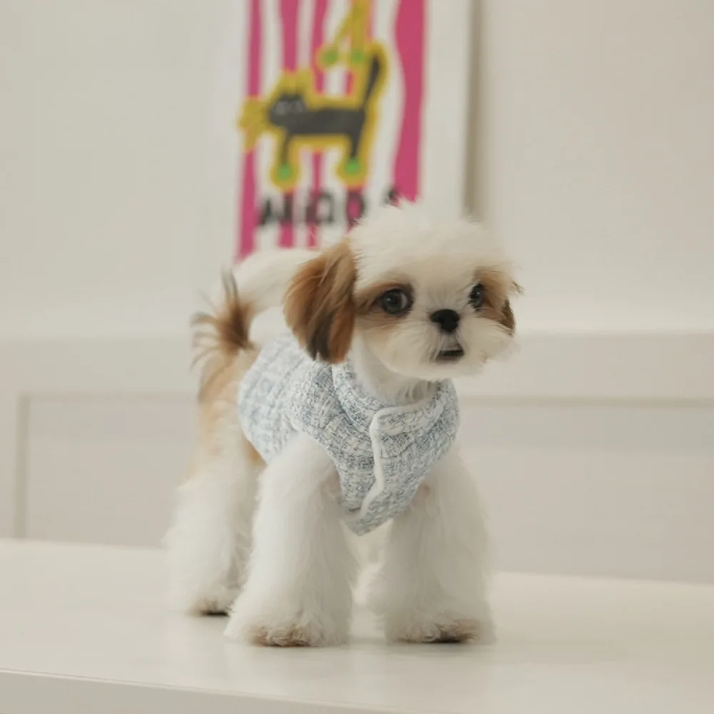 Parkas de cuello alto para perros, Otoño/Invierno, Color sólido, Schnauzer bordado, pierna de oso, ropa para mascotas para perros pequeños, ropa para cachorros - imagen 2